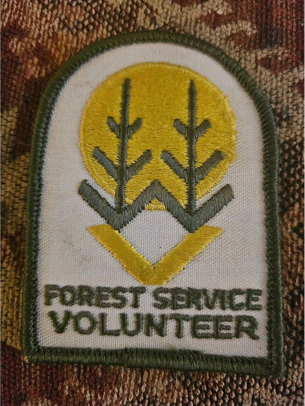 Vintage US Forest Service Official VOLUNTEER Patch 2.5 x 3.5 inches